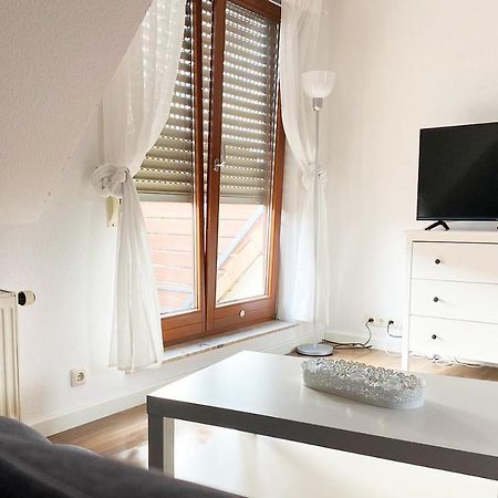 Schoenes 1 Zimmer Apartment Mit Dachterrasse Glauchau Exteriör bild