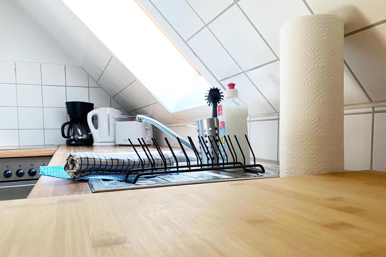 Schoenes 1 Zimmer Apartment Mit Dachterrasse Glauchau Exteriör bild