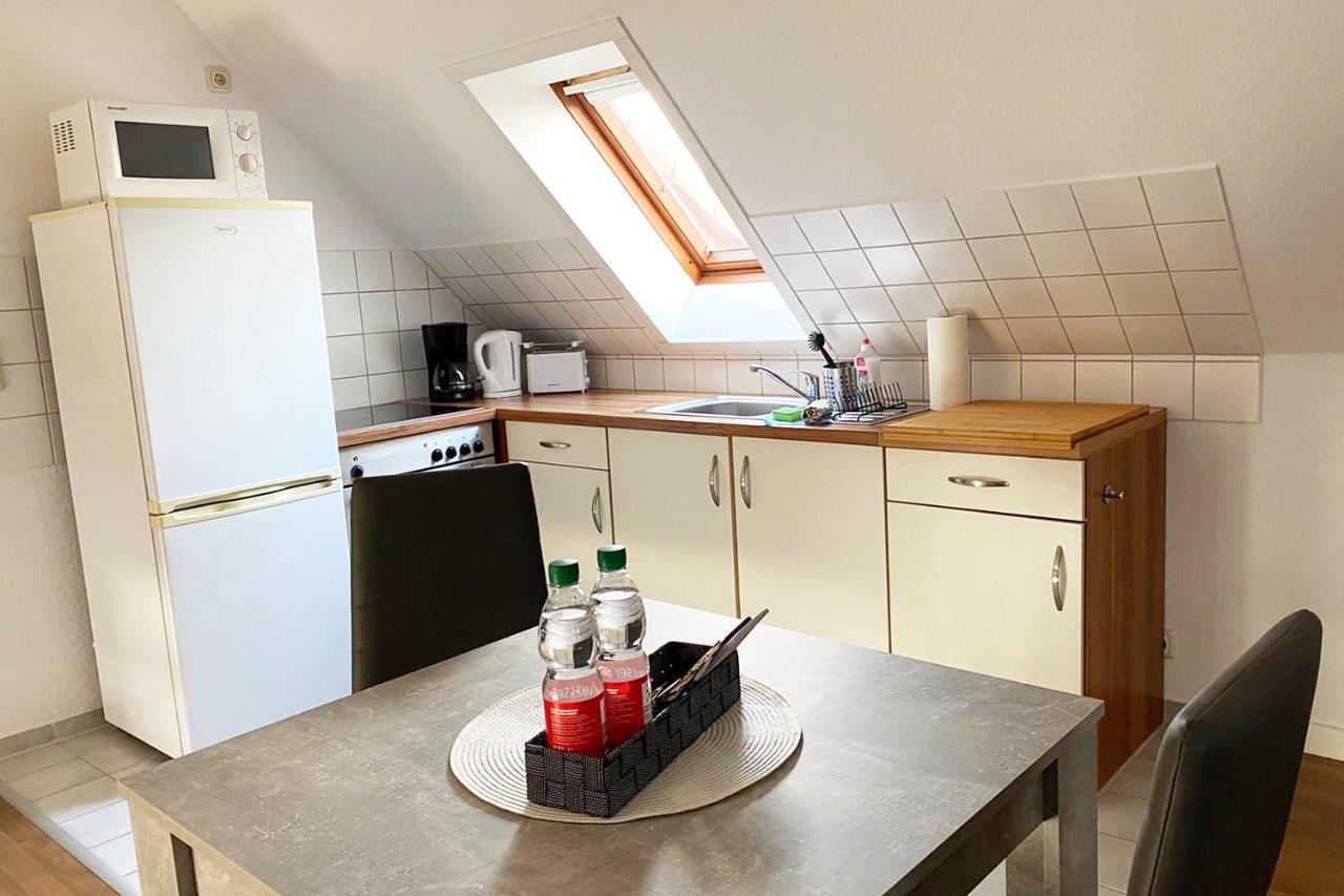 Schoenes 1 Zimmer Apartment Mit Dachterrasse Glauchau Exteriör bild